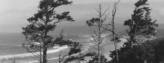 Peter Nelson Photography Art - Portland Oregon