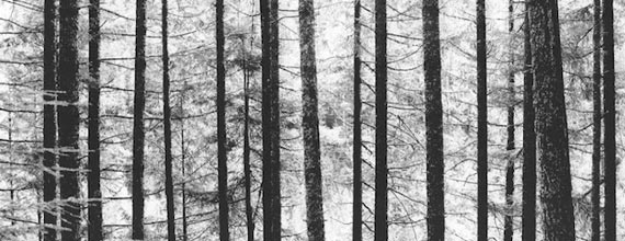 Peter Nelson Photography Art - Portland Oregon