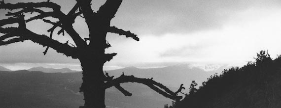 Peter Nelson Photography Art - Portland Oregon