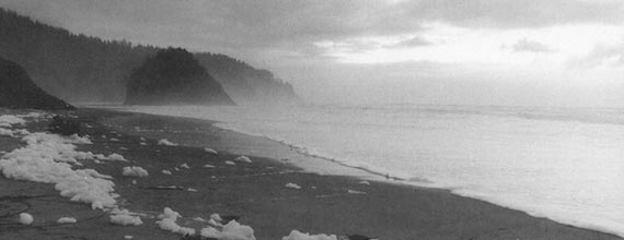 Peter Nelson Photography Art - Portland Oregon