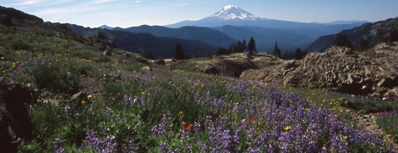 Peter Nelson Photography Art - Portland Oregon