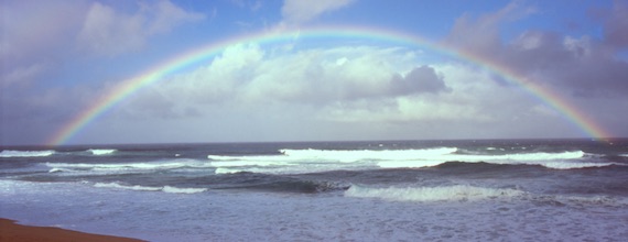 Peter Nelson Photography Art - Portland Oregon