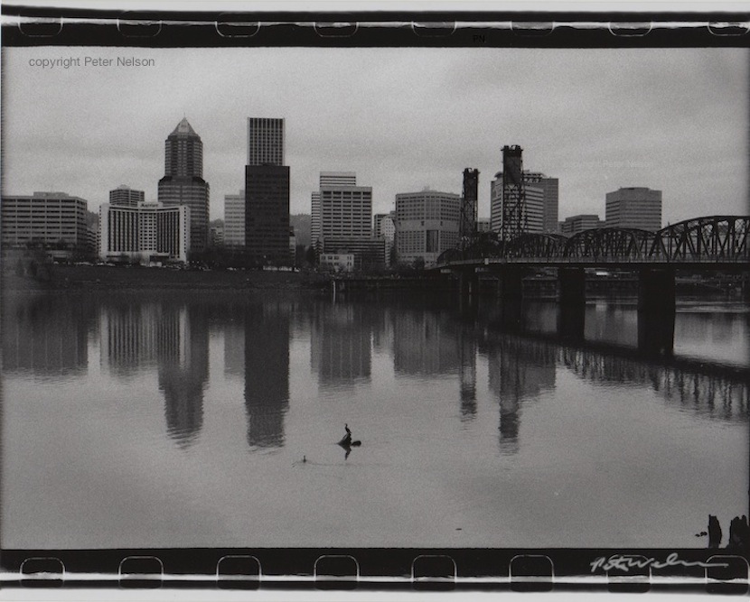PortlandBirds2
