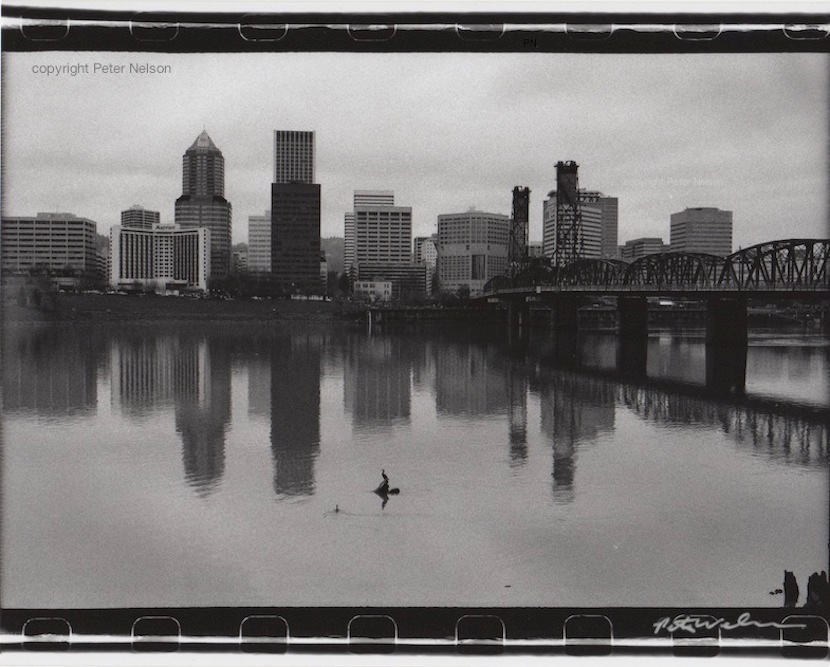 PortlandBirds2_copy
