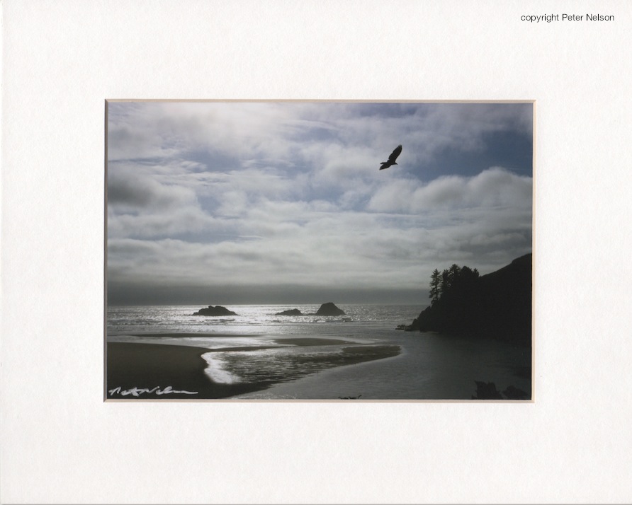 Coastal_Dreams