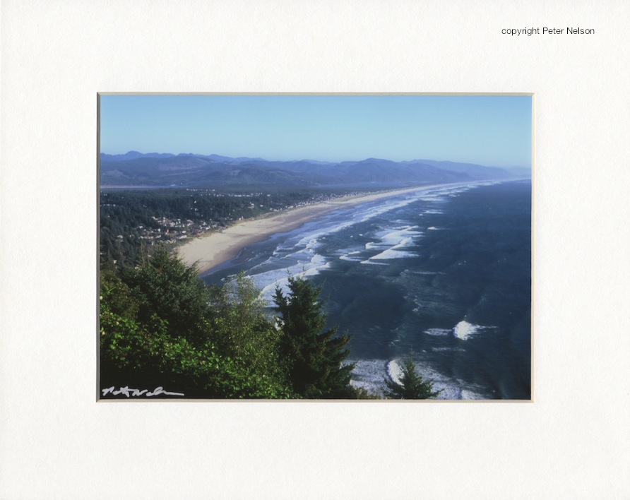 Manzanita