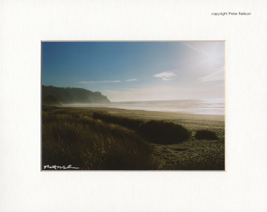 Neskodunes