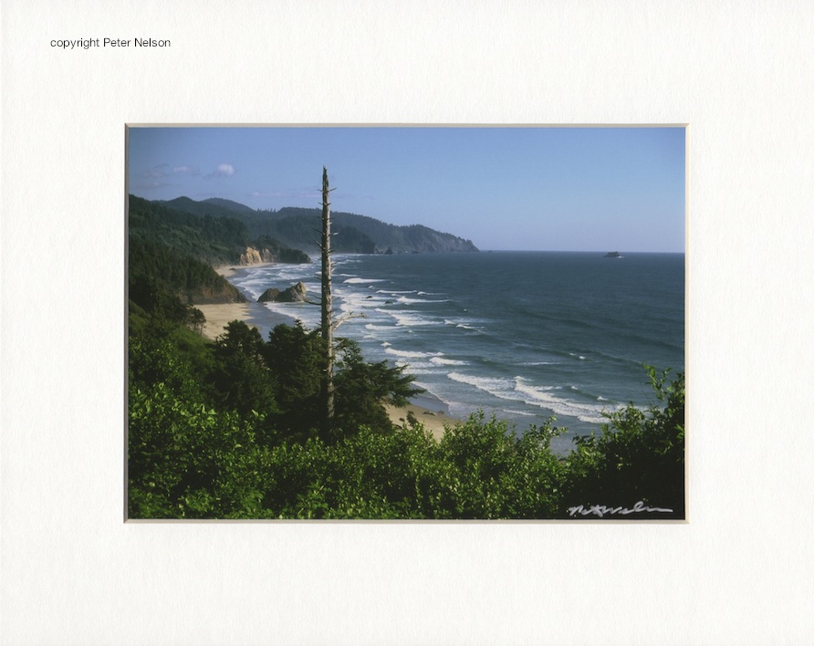 SouthtoCapeFalcon