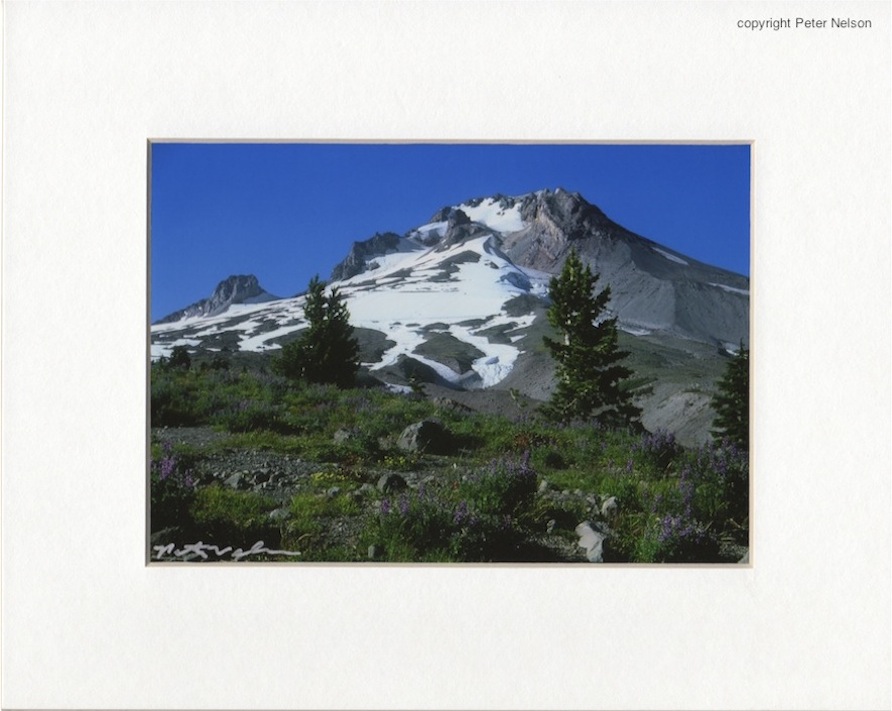 HoodTimberlineSummer