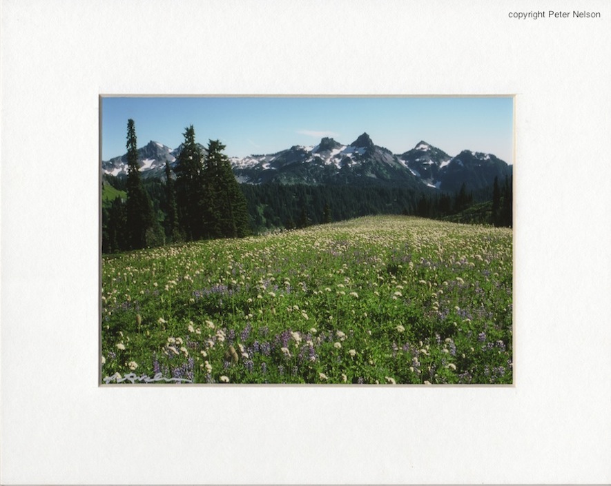 TatooshWildflowersSummerParadise