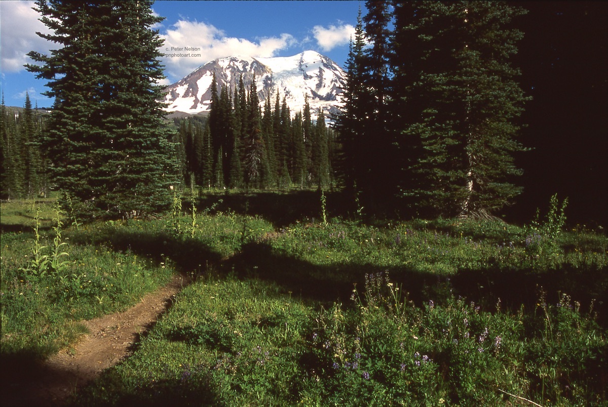 adamtrail_copy