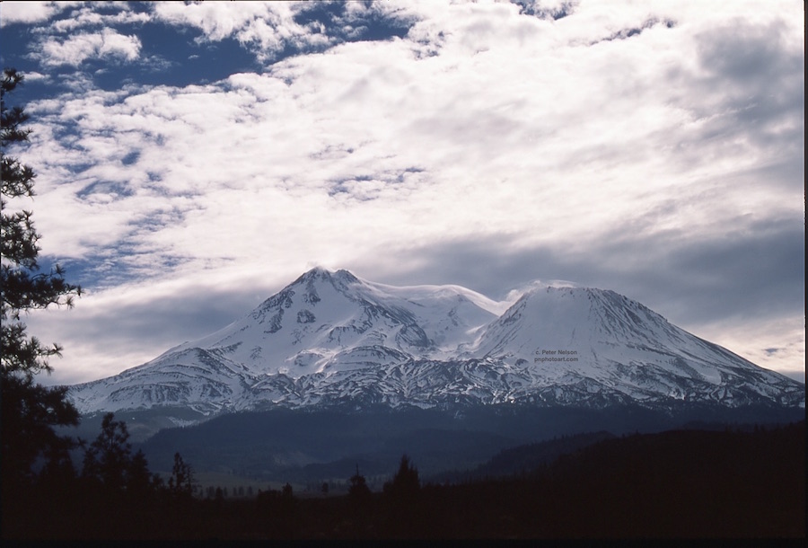Shasta2-A